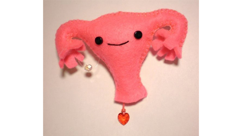 Illustration for article titled Legislators Got You Down? Cheer Up With Uterus-centric Stuff from Etsy